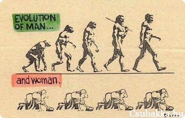 Evolúció (7 kép) fejlődés elvetemült ötletes történet evolúció Képek