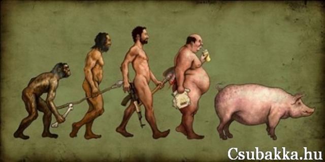 Evolúció (7 kép) elvetemült történet fejlődés ötletes Képek evolúció