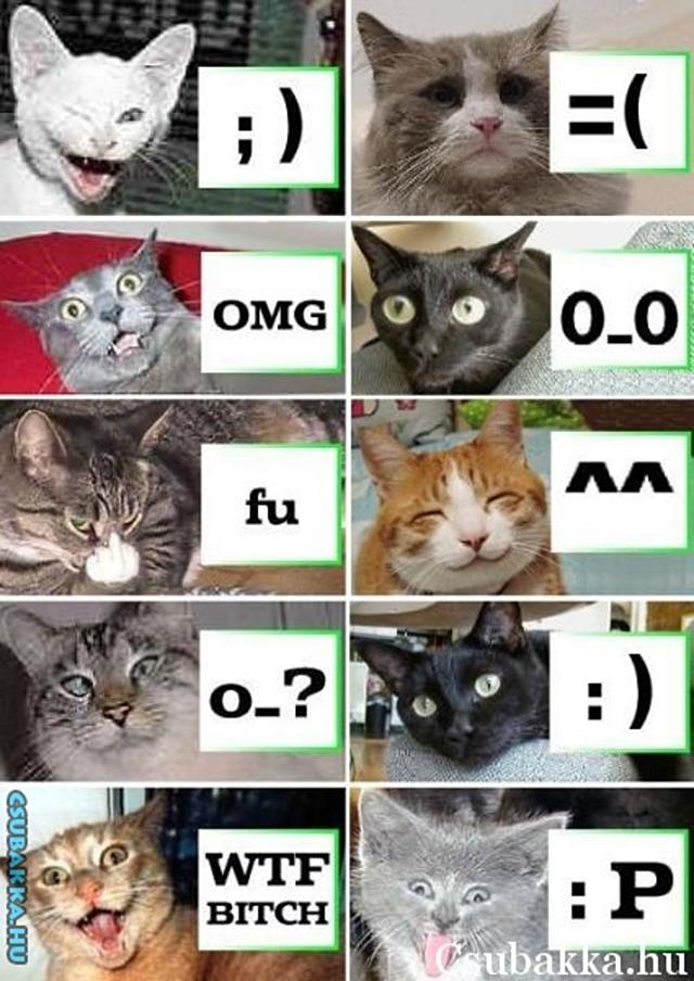 Hangulatjelek elvetemült Képek jelmagyarázat hangulat érzelmek macskák hangulatjelek
