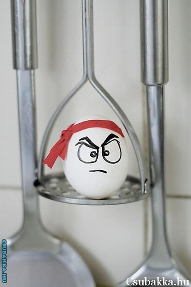 Játék a tojással 2 (5 kép) játék a tojással vicces képek művészet ötletes tojás