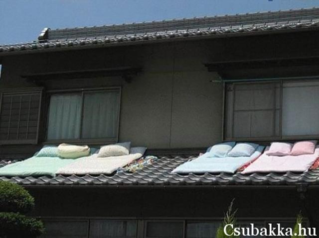 Napozóhely ablak napozás elvetemült tető napozóágy