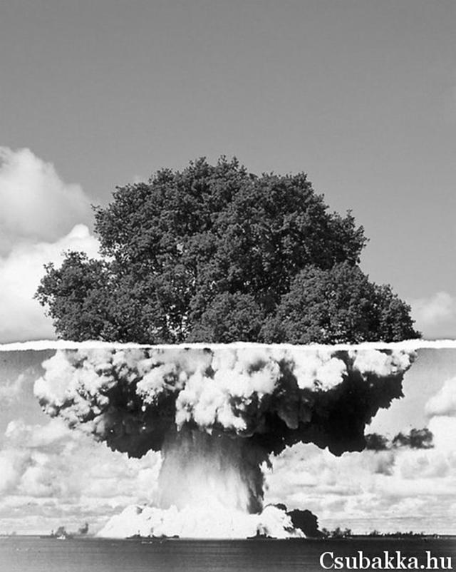 Élet/Halál atom robbanás bomba látványos fa összevágva