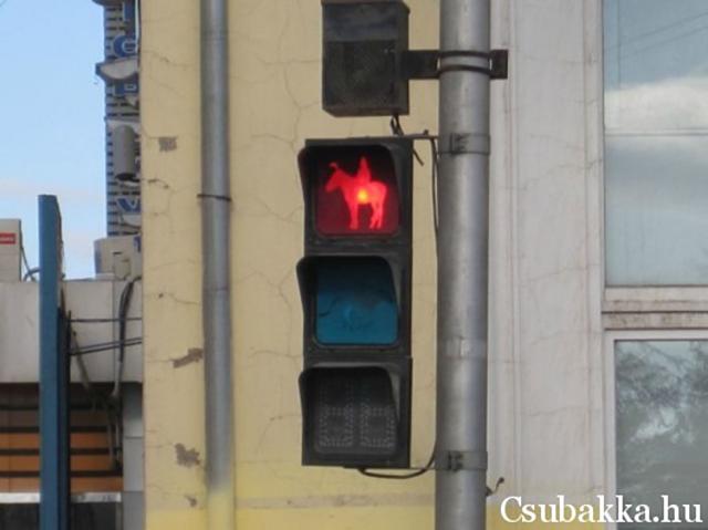 Piros kép lámpa laza vicces jelzés érdekes közlekedés piros