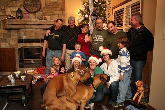 Családi fotó karácsony kép kutya családi fotó vicces