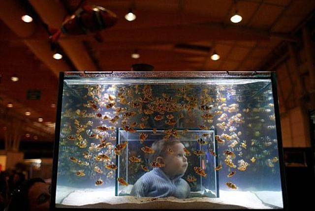 Ötletes akvárium gyerek halak akvárium látványos kialakítás ötletes belülről