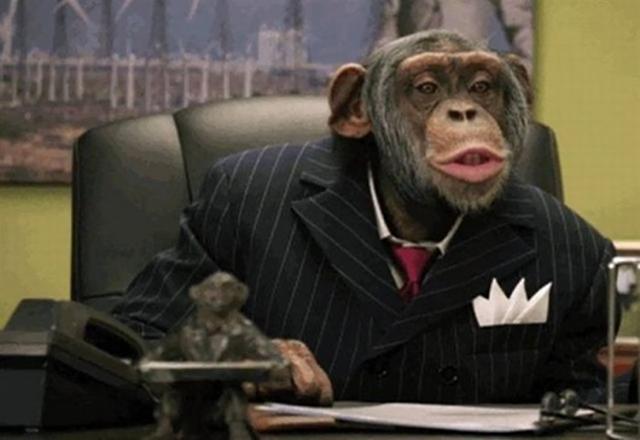 Politikusaink  iroda hasonlóság öltöny majom politikus
