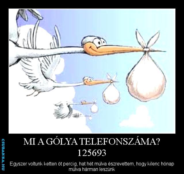 Mi a gólya telefonszáma? :) lol laza gólya vicces terhes telefonszám
