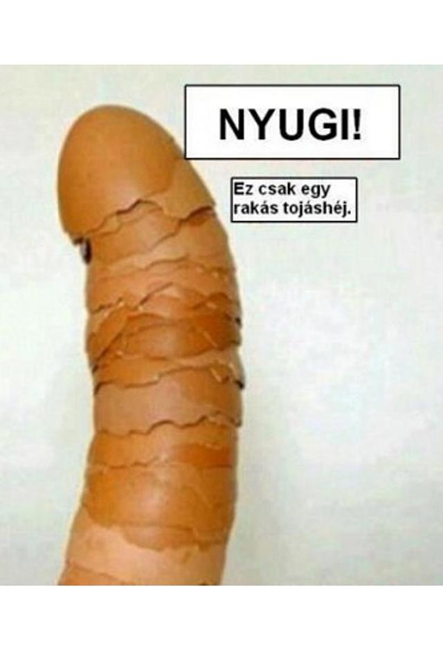 Nyugi! Képek