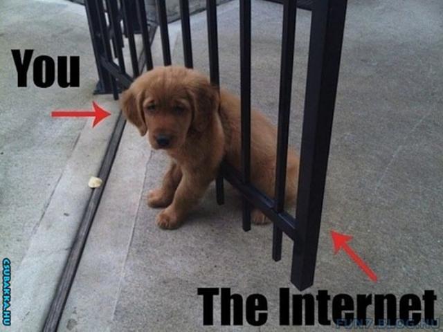 Te és az Internet - Ismerős? :) vicces Képek internet függés