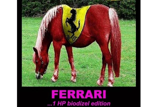 Ferrari. Képek