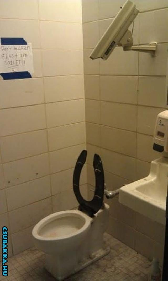 Rejtett kamera a WC-ben - Rosszul csinálod! rosszul csinálod wc vicces képek kamera