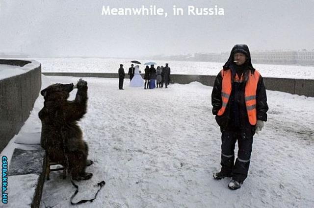 Eközben oroszországban vicces képek medve vodka Oroszország eközben