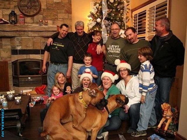 Ideális karácsonyi csoportkép, keresd a hibát! :D karácsony kutya család csoport kép