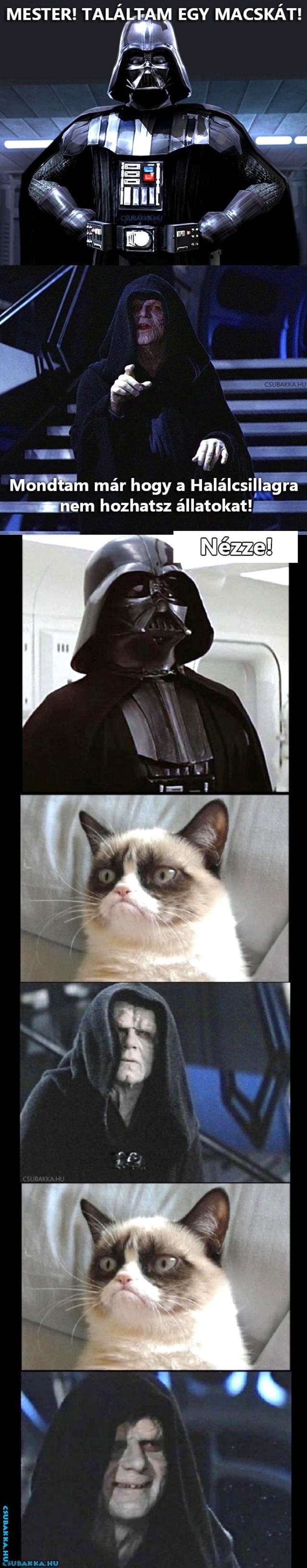 Grumpy Cat és a sötét oldal... star wars vicces Képek grumpy cat