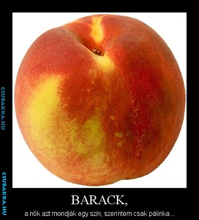 Barack pálinka szín Képek barack vicces