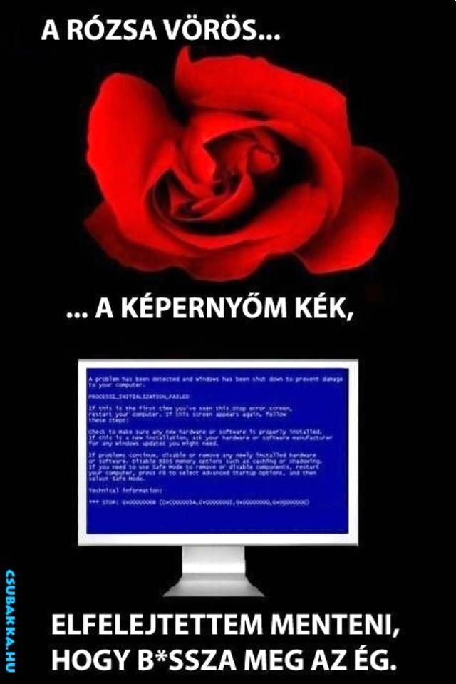 A rózsa vörös, a képernyőm kék... vicces kékhalál Képek windows