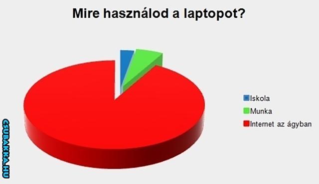 Mire használod a laptopot? Képek vicces true story grafikon laptop