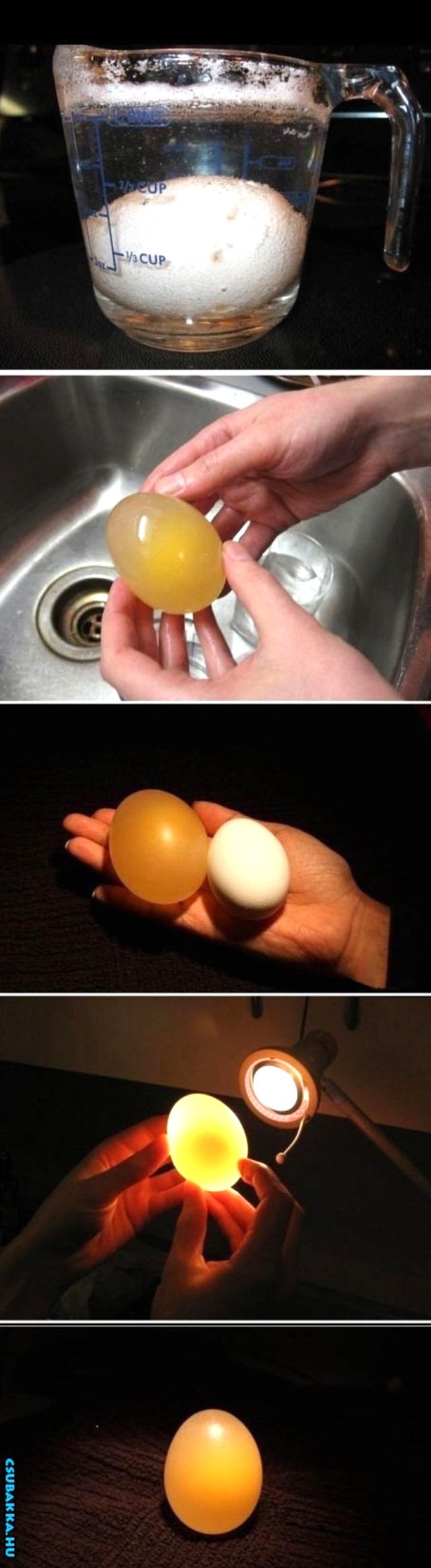 Ez történik a tojással, ha ecetbe rakod tojás Képek ecet