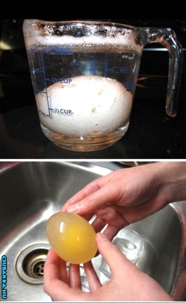 Ez történik a tojással, ha ecetbe rakod Képek tojás ecet