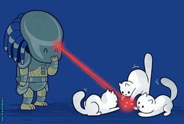 A legjobb gazdi :) vicces Képek Predator cica beteg