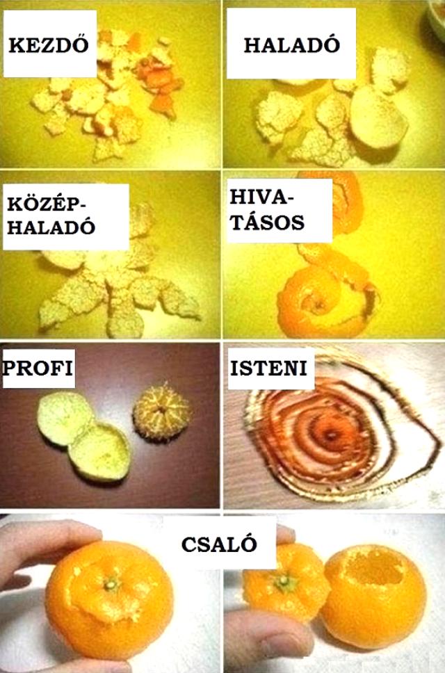 Te melyik vagy? :) Képek vicces narancs