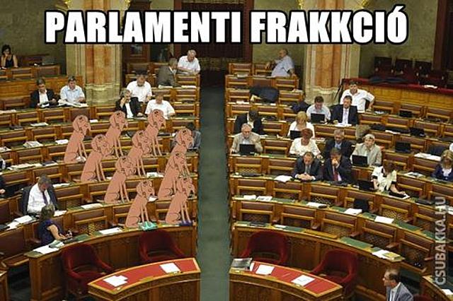 Esti fárasztó :) Képek vicces parlament frakkció