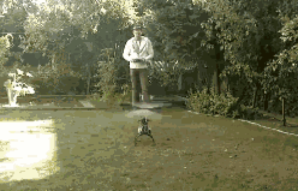 flying-rc-helicopter-in-the-garden-failed_original