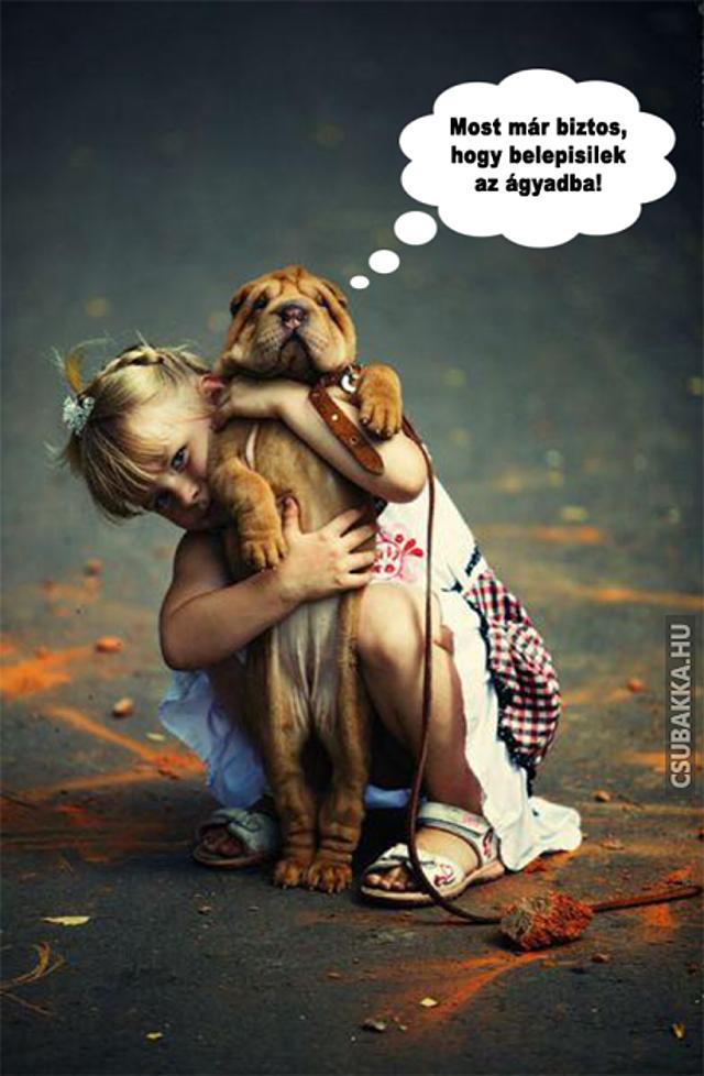 Szomorú kutyasors kislány Képek kedvenc kutya