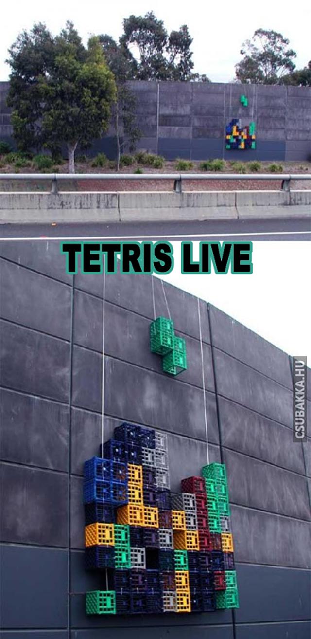 Tetrist nagyban kell játszani! Képek tetris élő játék