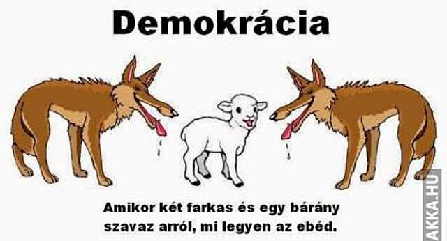A Demokrácia egy újabb értelmezése szavazás demokrácia Képek farkas bárány