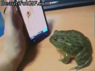 vlc-record-2014-04-19-19h58m00s-Frog playing Mobile game_0-200