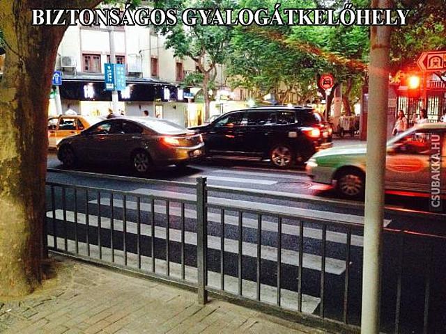 Végre nyugalom az utcákon, a zebra már rács mögött! :D zebra fail Képek kerítés