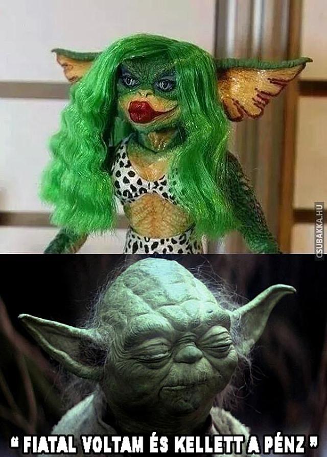 Hányszor hallhattuk ezt már hírességektől! Képek Yoda