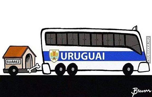 Az Uruguayi csapat hazatért kutya Suarez Uruguay Képek