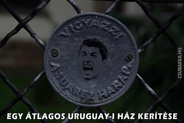 Uruguayban is őrzik a házat kutya Suarez házörző Képek Uruguay harap