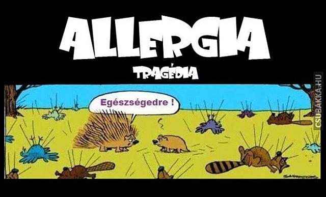 Tíznél több halottat követelt az allergia... :) sündisznó Képek allergiás