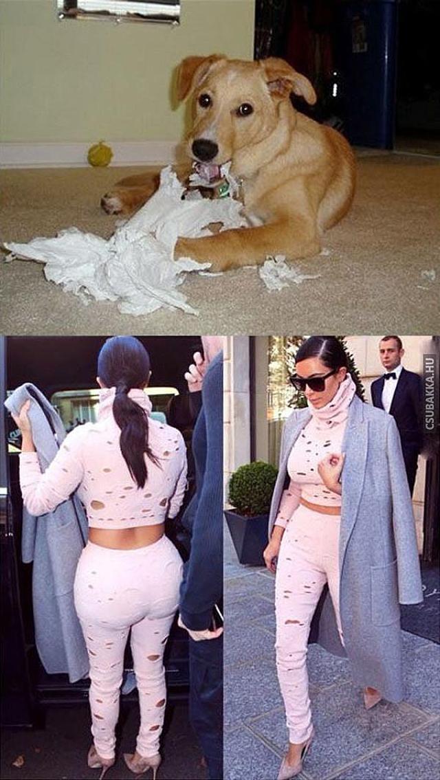 Saját divattervező :) divat kutya vicces Képek ruha