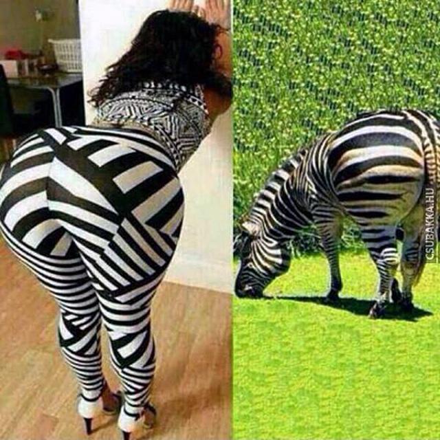 Egy póz perverzeknek :) fail segg zebra Képek