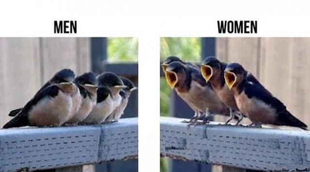 Men vs Women vicces képek madarak nők vs férfiak
