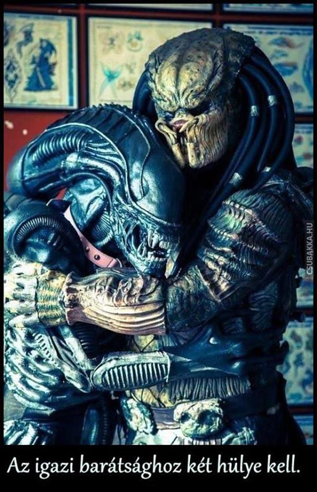 Igazi barátság idázetek alien vs predator barátság