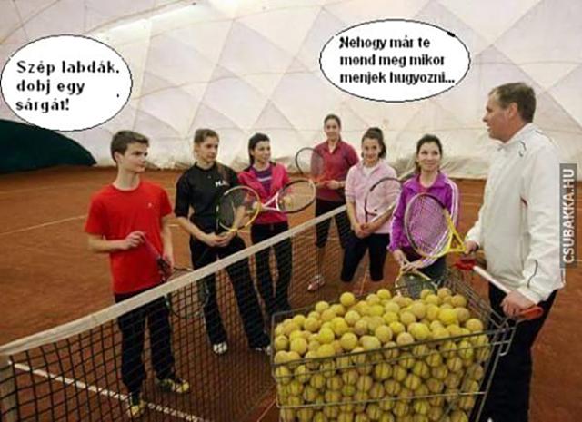 Szép labdák tenisz labda dob egy sárgát vicces képek