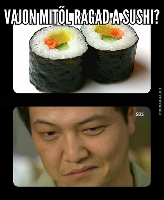 A jó sushi... Sushi ragad