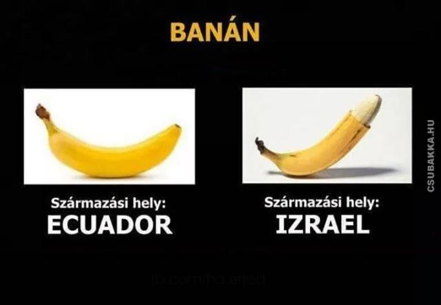 Kóser banán vicces képek kóser ecuador izrael kóser banán banán