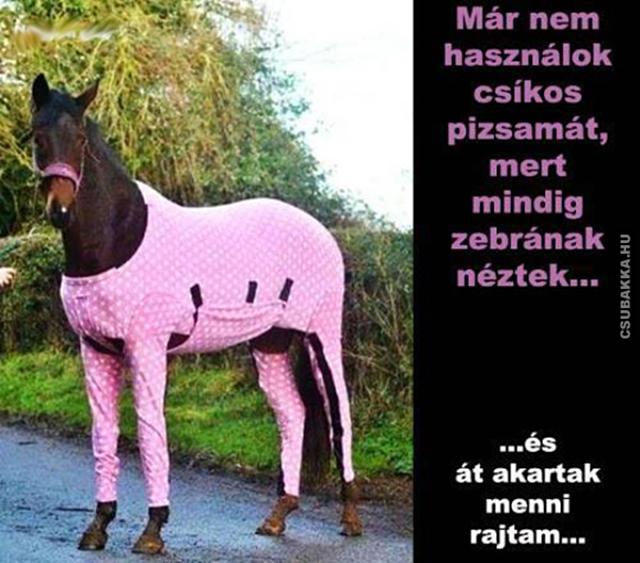 Ne vegyél fel csíkos pizsamát! zebra rózsaszín ló