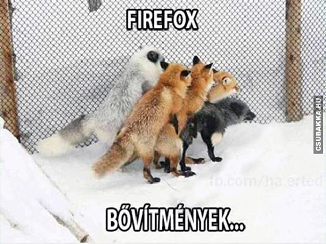 Firefox rókák firefox vicces képek