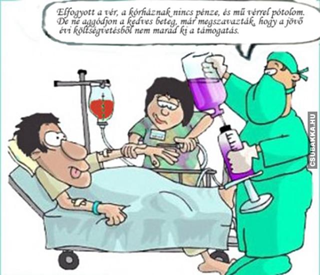 Művér vicces képek művér költségvetés egészségügy korházban