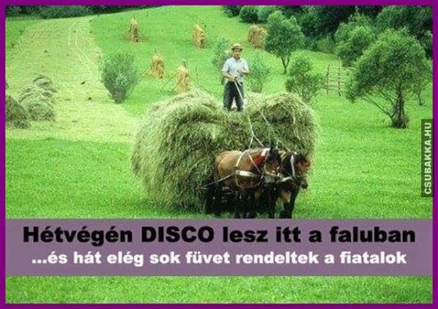 Hétvégén DISCO! falu vicces képek disco fiatalok fű