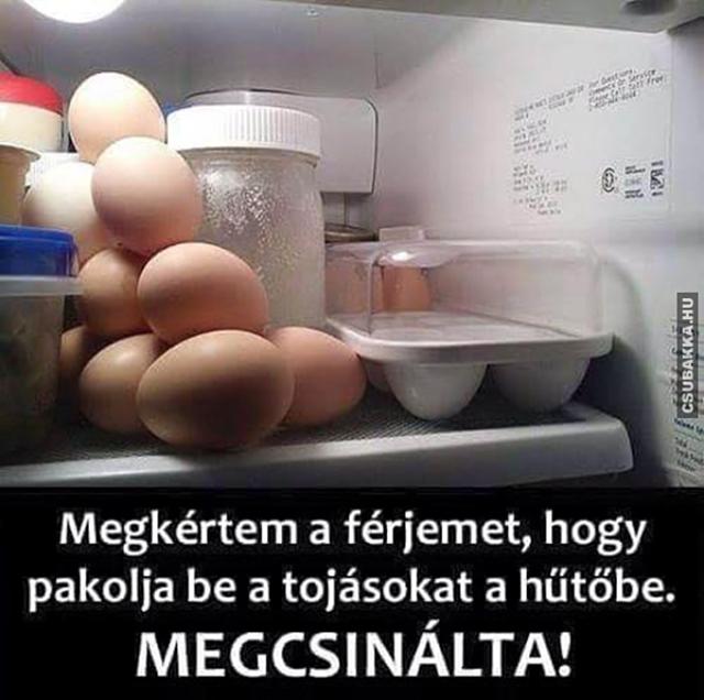 Jó férj :) tojások vicces képek férj hűtőszekrény