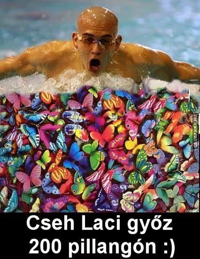 Cseh Laci győz cseh laci pillangó úszás pinnalgók