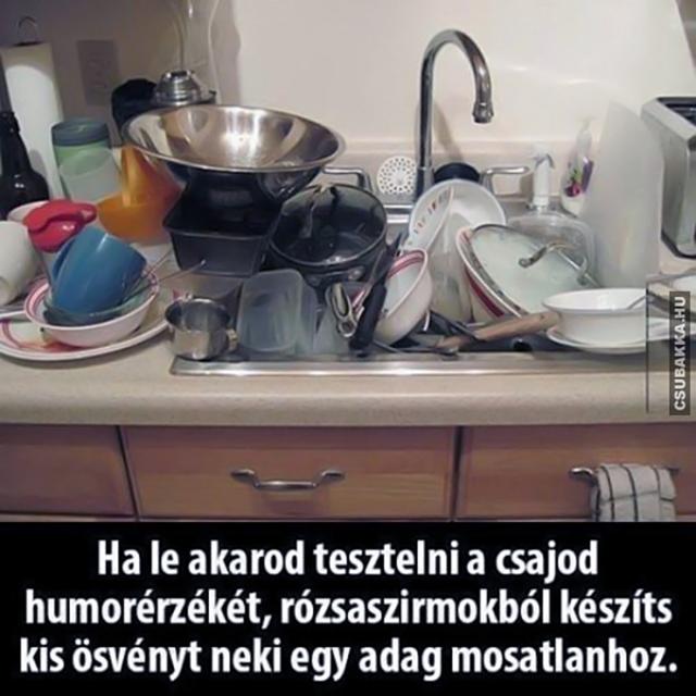Humorérzék mosogatás